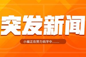 灰熊官方：球队与主教练詹金斯分道扬镳&gt;&gt;